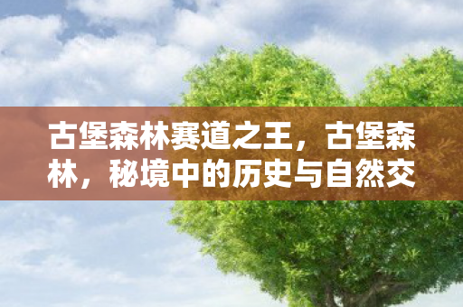 古堡森林赛道之王，古堡森林，秘境中的历史与自然交响