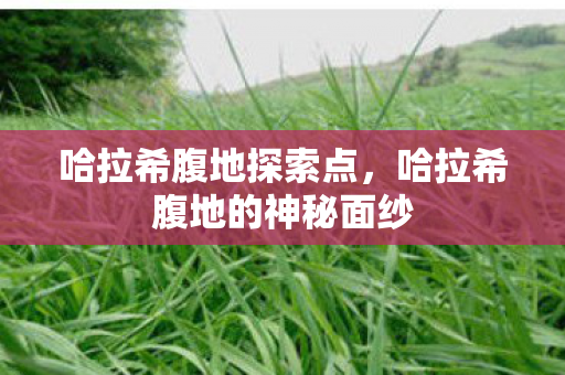 哈拉希腹地探索点，哈拉希腹地的神秘面纱