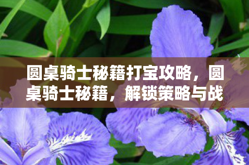 圆桌骑士秘籍打宝攻略，圆桌骑士秘籍，解锁策略与战斗技巧