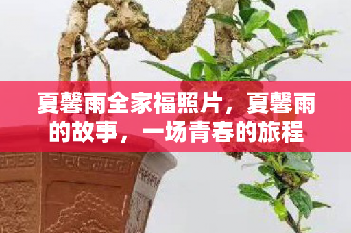 夏馨雨全家福照片,夏馨雨的故事,一场青春的旅程 夏馨雨全家福照片,夏馨雨的故事,一场青春的旅程