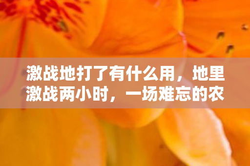 激战地打了有什么用,地里激战两小时,一场难忘的农业劳作体验 激战地打了有什么用,地里激战两小时,一场难忘的农业劳作体验