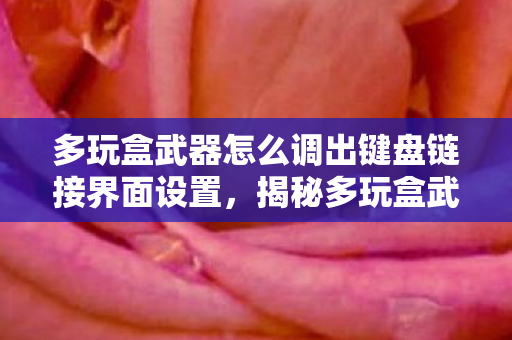 多玩盒武器怎么调出键盘链接界面设置,揭秘多玩盒武器的神秘面纱 多玩盒武器怎么调出键盘链接界面设置,揭秘多玩盒武器的神秘面纱