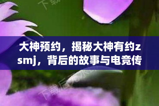 大神预约,揭秘大神有约zsmj,背后的故事与电竞传奇 大神预约,揭秘大神有约zsmj,背后的故事与电竞传奇