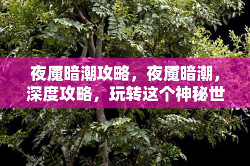 夜魇暗潮攻略,夜魇暗潮,深度攻略,玩转这个神秘世界! 夜魇暗潮攻略,夜魇暗潮,深度攻略,玩转这个神秘世界!