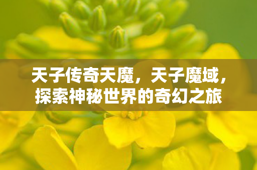 天子传奇天魔,天子魔域,探索神秘世界的奇幻之旅 天子传奇天魔,天子魔域,探索神秘世界的奇幻之旅
