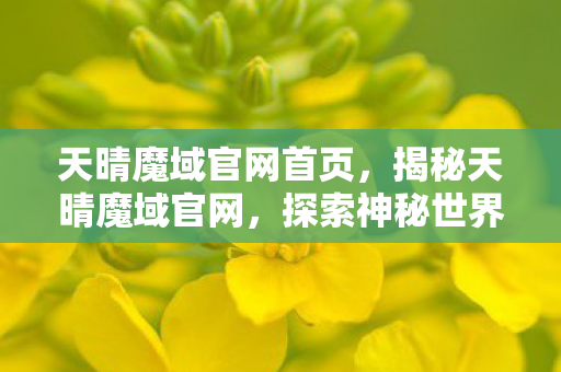 天晴魔域官网首页,揭秘天晴魔域官网,探索神秘世界的门户 天晴魔域官网首页,揭秘天晴魔域官网,探索神秘世界的门户