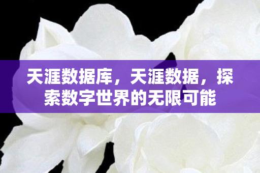 天涯数据库,天涯数据,探索数字世界的无限可能 天涯数据库,天涯数据,探索数字世界的无限可能