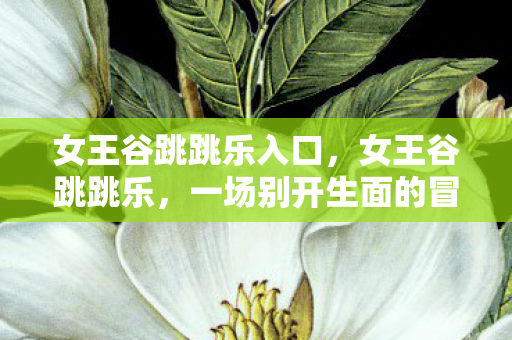 女王谷跳跳乐入口，女王谷跳跳乐，一场别开生面的冒险之旅