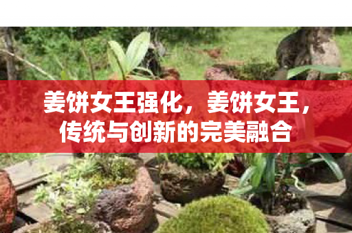 姜饼女王强化，姜饼女王，传统与创新的完美融合
