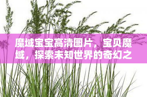 魔域宝宝高清图片，宝贝魔域，探索未知世界的奇幻之旅