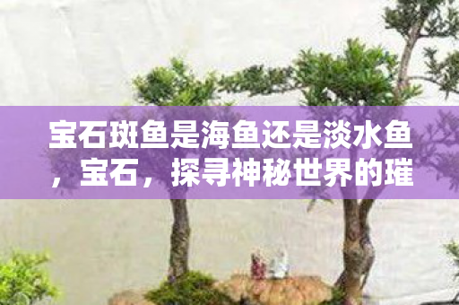 宝石斑鱼是海鱼还是淡水鱼,宝石,探寻神秘世界的璀璨瑰宝 宝石斑鱼是海鱼还是淡水鱼,宝石,探寻神秘世界的璀璨瑰宝