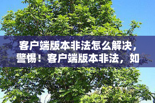 客户端版本非法怎么解决,警惕!客户端版本非法,如何防范网络安全风险? 客户端版本非法怎么解决,警惕!客户端版本非法,如何防范网络安全风险?