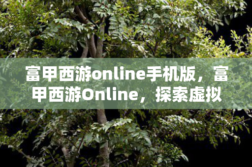 富甲西游online手机版,富甲西游Online,探索虚拟世界的财富之路 富甲西游online手机版,富甲西游Online,探索虚拟世界的财富之路