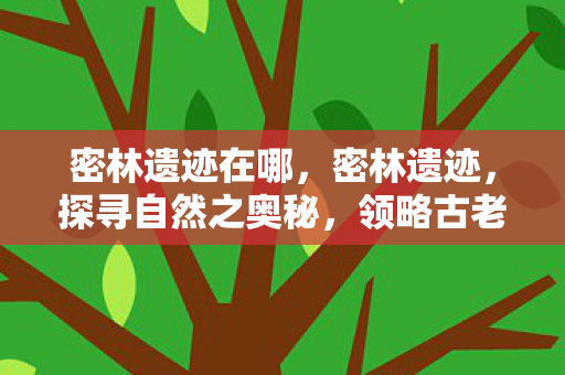 密林遗迹在哪,密林遗迹,探寻自然之奥秘,领略古老文明的印记 密林遗迹在哪,密林遗迹,探寻自然之奥秘,领略古老文明的印记