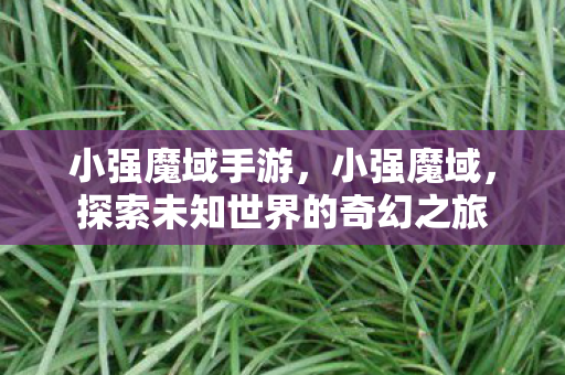 小强魔域手游,小强魔域,探索未知世界的奇幻之旅 小强魔域手游,小强魔域,探索未知世界的奇幻之旅