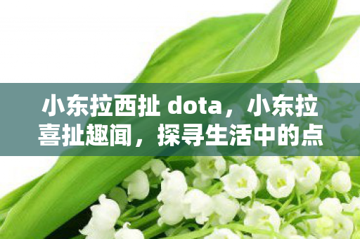 小东拉西扯 dota,小东拉喜扯趣闻,探寻生活中的点滴乐趣 小东拉西扯 dota,小东拉喜扯趣闻,探寻生活中的点滴乐趣