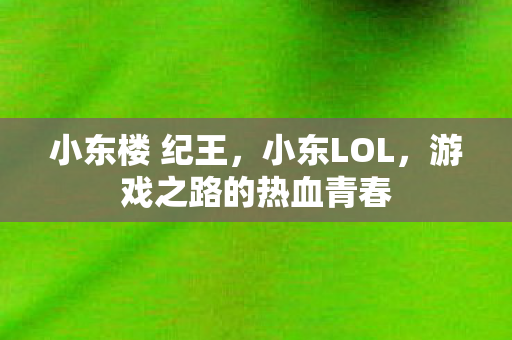 小东楼 纪王,小东LOL,游戏之路的热血青春 小东楼 纪王,小东LOL,游戏之路的热血青春