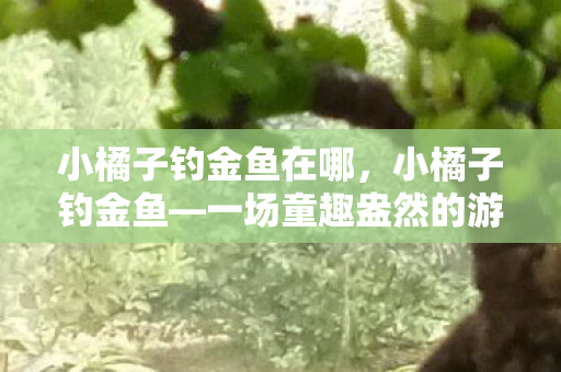 小橘子钓金鱼在哪,小橘子钓金鱼—一场童趣盎然的游戏之旅 小橘子钓金鱼在哪,小橘子钓金鱼—一场童趣盎然的游戏之旅