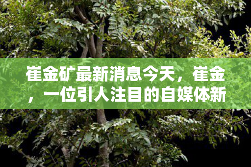 崔金矿最新消息今天,崔金,一位引人注目的自媒体新星 崔金矿最新消息今天,崔金,一位引人注目的自媒体新星