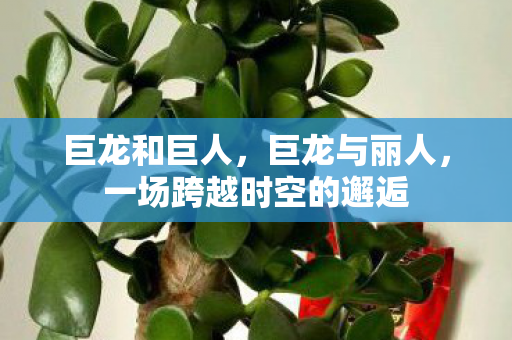 巨龙和巨人,巨龙与丽人,一场跨越时空的邂逅 巨龙和巨人,巨龙与丽人,一场跨越时空的邂逅