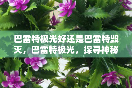 巴雷特极光好还是巴雷特毁灭，巴雷特极光，探寻神秘力量的奥秘