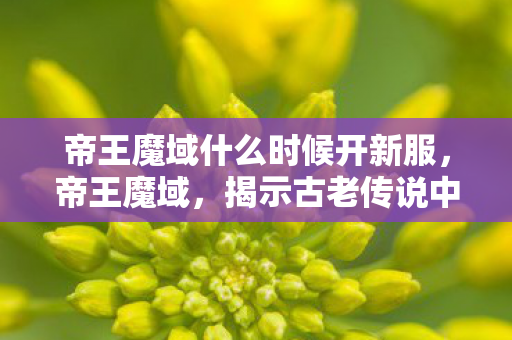 帝王魔域什么时候开新服,帝王魔域,揭示古老传说中的神秘力量 帝王魔域什么时候开新服,帝王魔域,揭示古老传说中的神秘力量