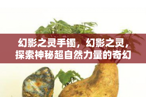 幻影之灵手镯,幻影之灵,探索神秘超自然力量的奇幻之旅 幻影之灵手镯,幻影之灵,探索神秘超自然力量的奇幻之旅