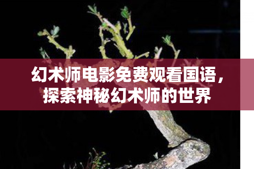 幻术师电影免费观看国语,探索神秘幻术师的世界 幻术师电影免费观看国语,探索神秘幻术师的世界