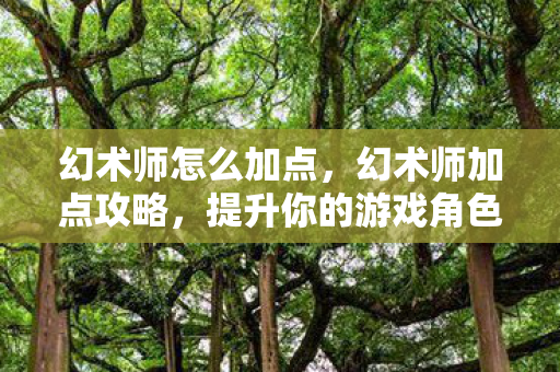 幻术师怎么加点,幻术师加点攻略,提升你的游戏角色实力 幻术师怎么加点,幻术师加点攻略,提升你的游戏角色实力