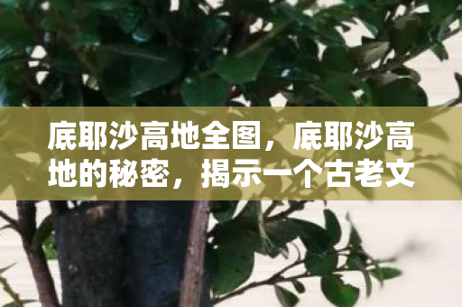 底耶沙高地全图，底耶沙高地的秘密，揭示一个古老文明的神秘面纱