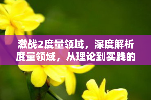 激战2度量领域,深度解析度量领域,从理论到实践的全面探讨 激战2度量领域,深度解析度量领域,从理论到实践的全面探讨