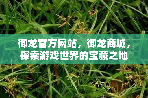 御龙官方网站，御龙商城，探索游戏世界的宝藏之地