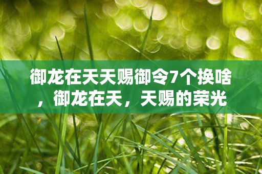 御龙在天天赐御令7个换啥,御龙在天,天赐的荣光 御龙在天天赐御令7个换啥,御龙在天,天赐的荣光