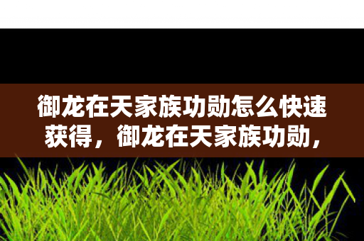 御龙在天家族功勋怎么快速获得,御龙在天家族功勋,荣耀与力量的象征 御龙在天家族功勋怎么快速获得,御龙在天家族功勋,荣耀与力量的象征