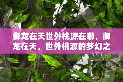 御龙在天世外桃源在哪,御龙在天,世外桃源的梦幻之旅 御龙在天世外桃源在哪,御龙在天,世外桃源的梦幻之旅