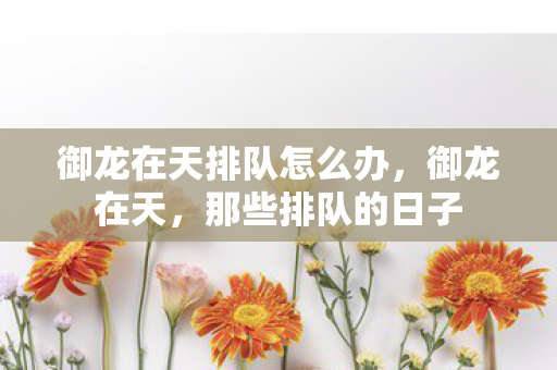 御龙在天排队怎么办,御龙在天,那些排队的日子 御龙在天排队怎么办,御龙在天,那些排队的日子