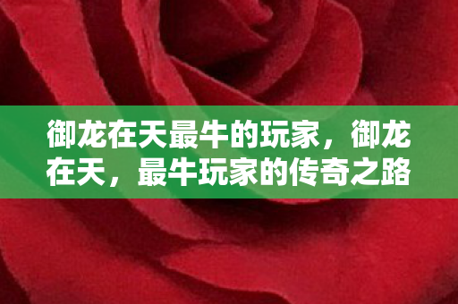 御龙在天最牛的玩家,御龙在天,最牛玩家的传奇之路 御龙在天最牛的玩家,御龙在天,最牛玩家的传奇之路