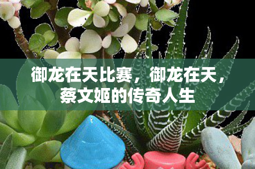 御龙在天比赛，御龙在天，蔡文姬的传奇人生