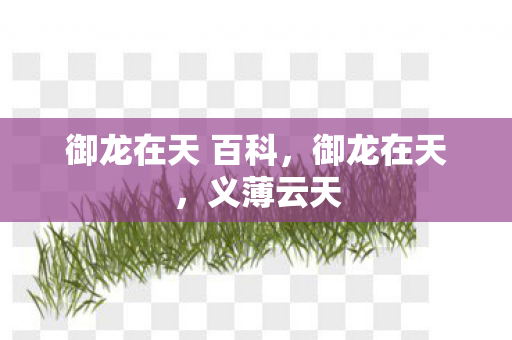 御龙在天 百科，御龙在天，义薄云天