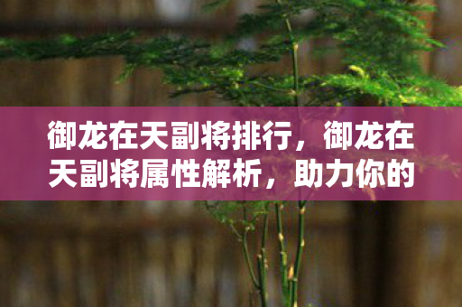 御龙在天副将排行,御龙在天副将属性解析,助力你的征战之路 御龙在天副将排行,御龙在天副将属性解析,助力你的征战之路