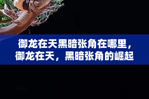 御龙在天黑暗张角在哪里，御龙在天，黑暗张角的崛起与陨落