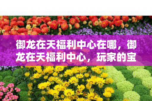 御龙在天福利中心在哪，御龙在天福利中心，玩家的宝藏之地