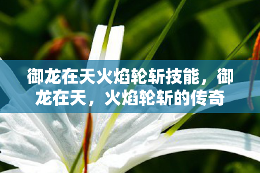 御龙在天火焰轮斩技能,御龙在天,火焰轮斩的传奇 御龙在天火焰轮斩技能,御龙在天,火焰轮斩的传奇
