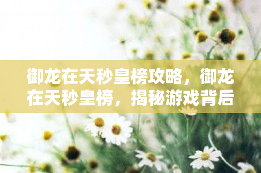 御龙在天秒皇榜攻略，御龙在天秒皇榜，揭秘游戏背后的故事与魅力