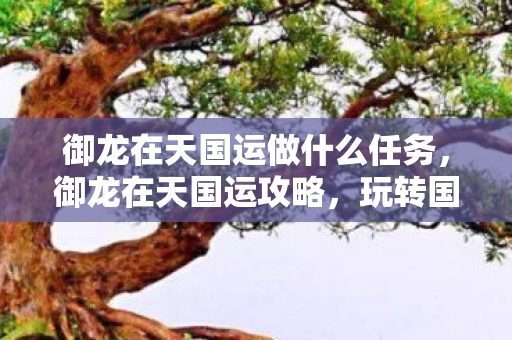 御龙在天国运做什么任务，御龙在天国运攻略，玩转国运，成就王者之路