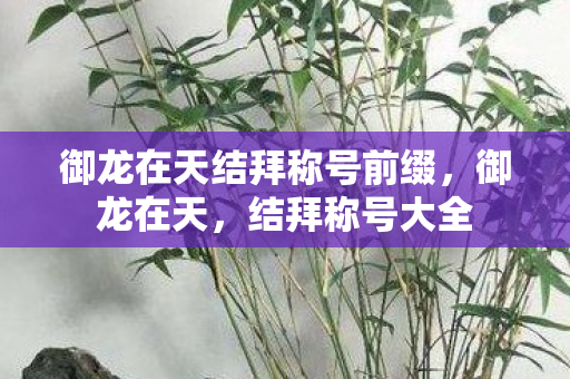 御龙在天结拜称号前缀，御龙在天，结拜称号大全