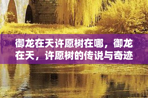御龙在天许愿树在哪,御龙在天,许愿树的传说与奇迹 御龙在天许愿树在哪,御龙在天,许愿树的传说与奇迹