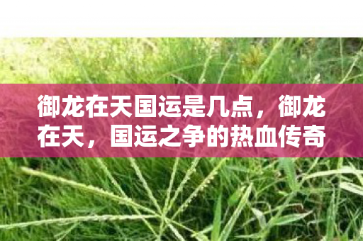 御龙在天国运是几点，御龙在天，国运之争的热血传奇