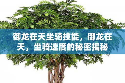 御龙在天坐骑技能,御龙在天,坐骑速度的秘密揭秘 御龙在天坐骑技能,御龙在天,坐骑速度的秘密揭秘