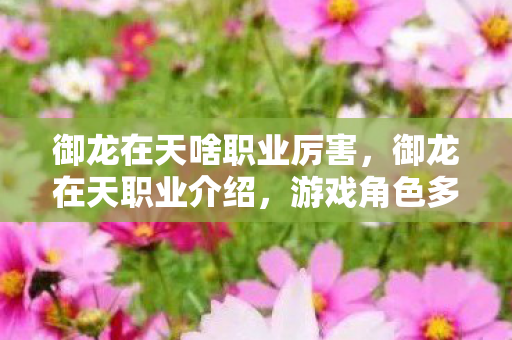 御龙在天啥职业厉害,御龙在天职业介绍,游戏角色多样性与特色技能解析 御龙在天啥职业厉害,御龙在天职业介绍,游戏角色多样性与特色技能解析